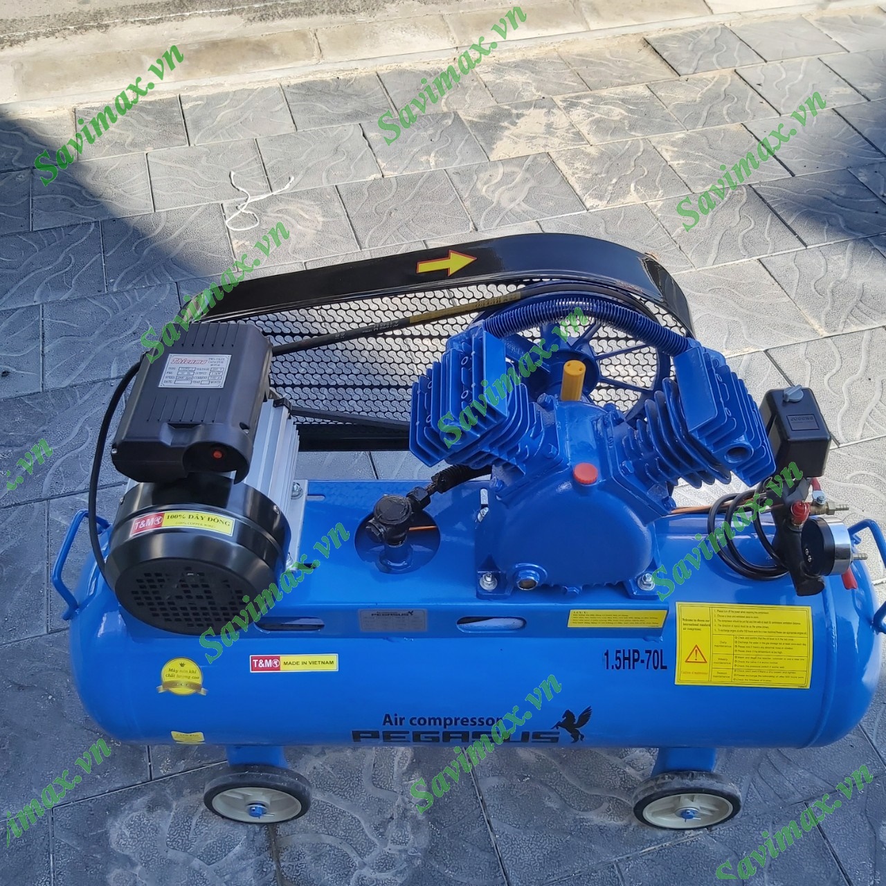 Máy nén khí Pegasus TM-V -0.12/8-70L