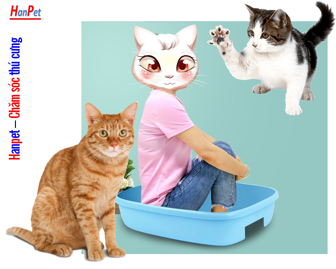 Nhà vệ sinh mèo nơ