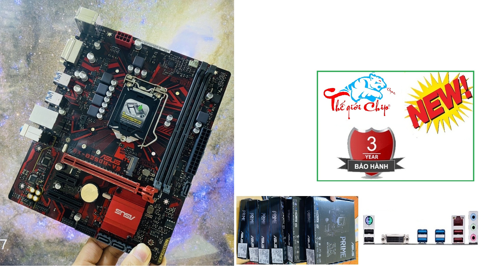 Mainboard ASUS EX-B250M-V5