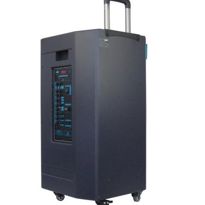 Loa kéo di động ALOKIO WML-R95