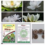 Bộ gói hạt giống Mộc Lan