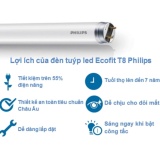 Bộ 10 Bóng đèn LED Tube EcoFit Philips 8W 0,6M (Trắng, Vàng)