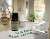 Đèn xông tinh dầu gốm AH22