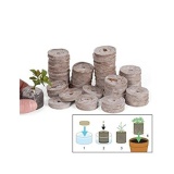Bộ gói hạt giống Nho pháp