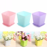 Bộ Chậu Nhựa Nhỏ Trồng Cây Kim Phát