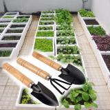 Bộ 3 dụng cụ làm vườn T003