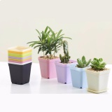 Chậu Trồng Cây Có Móc Treo
