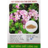 Hạt giống Hoa Tam Giác Mạch