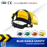 Mặt nạ bảo hộ Blue Eagle FC48G4