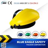 Mặt nạ bảo hộ Blue Eagle FC48G4