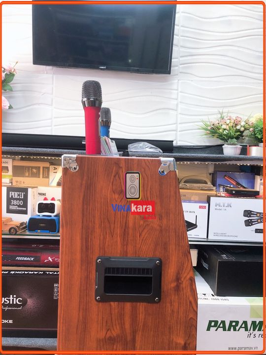 Loa kéo di động Koda KD10C