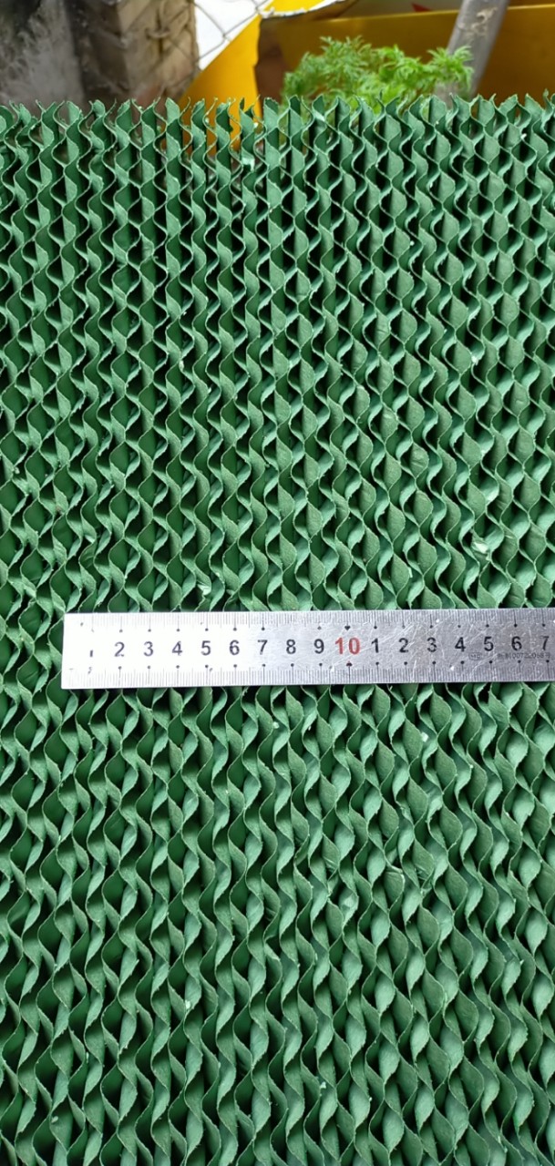 Quạt hơi nước Boss S101