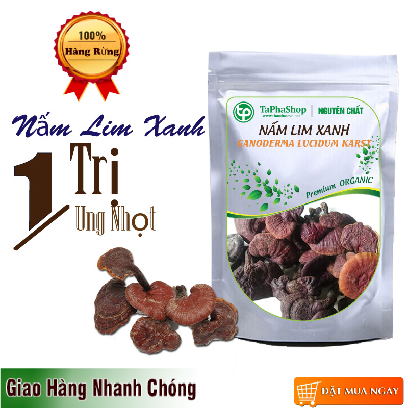 Nấm Lim Xanh Nông Lâm Cao Cấp (500g)
