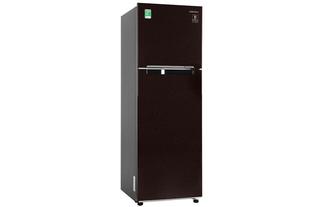 Tủ lạnh Samsung RT25M4032BY/SV Inverter 256 lít