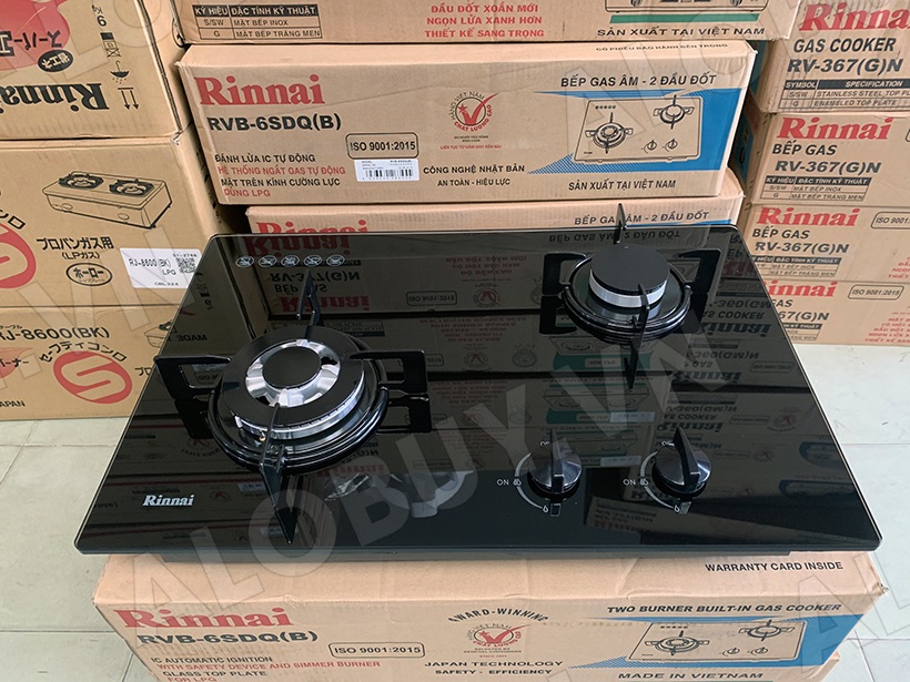 Bếp gas âm Rinnai RVB-6SDQ