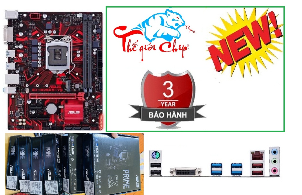 Mainboard ASUS EX-B250M-V5