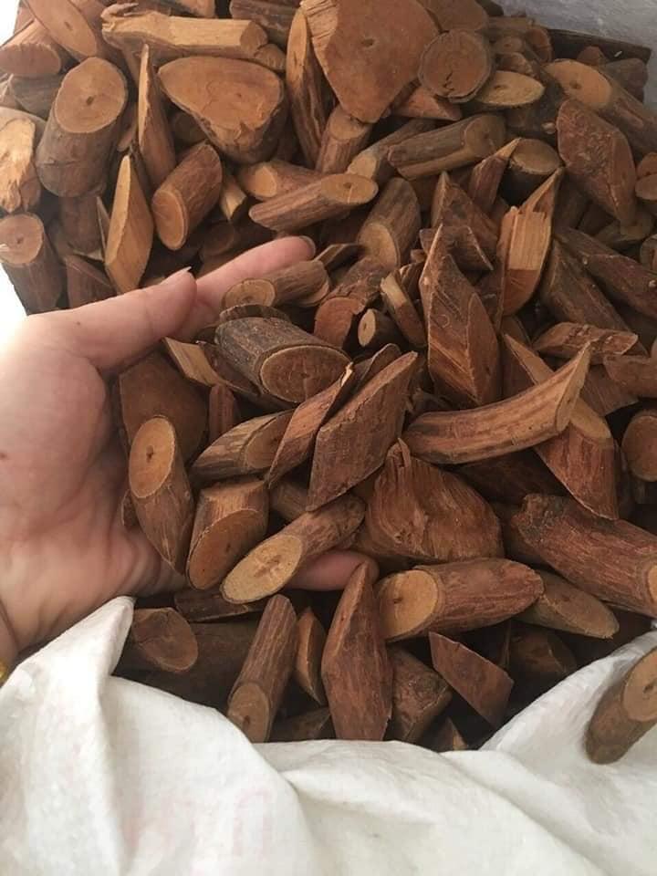 Cây Mú Từn 1kg