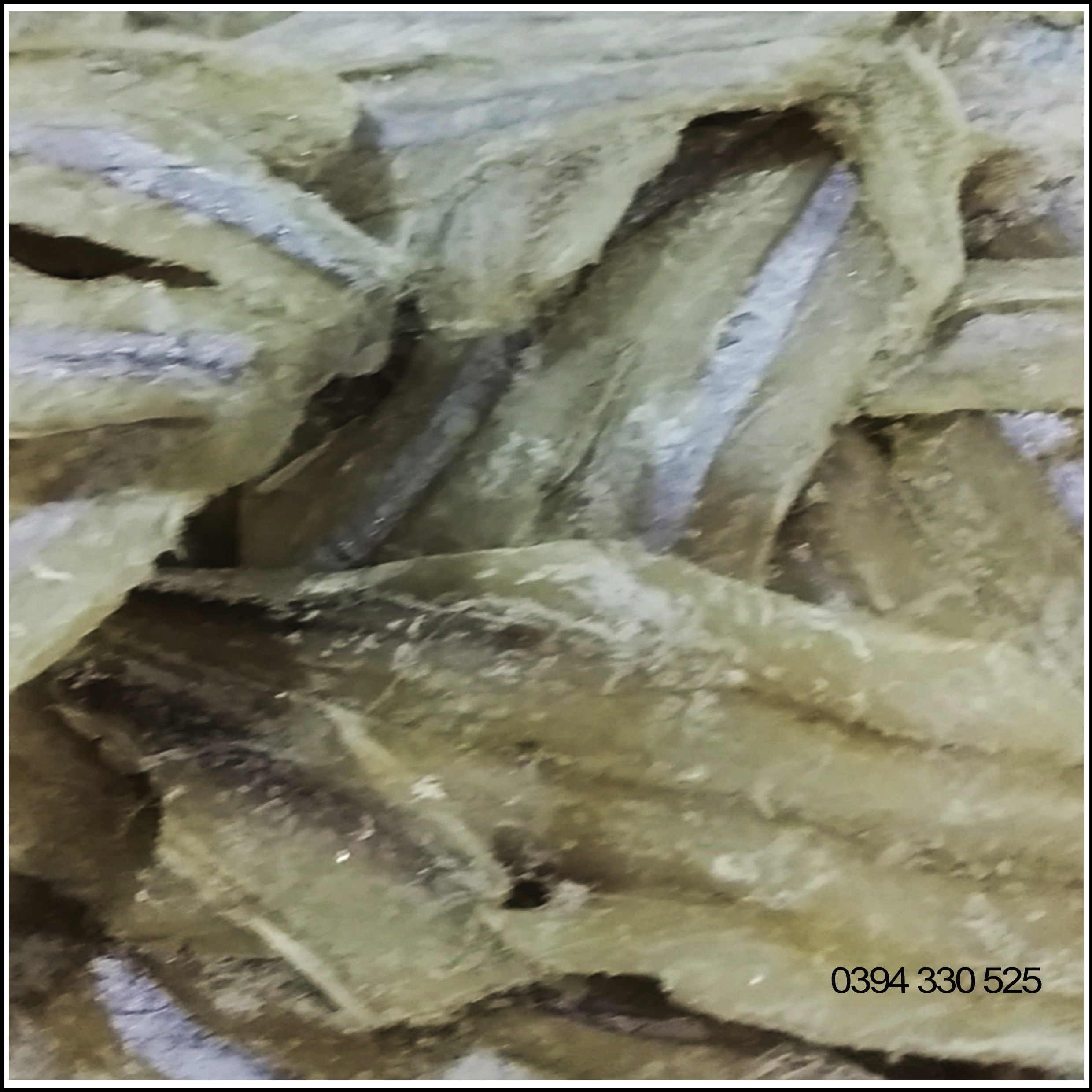 Khô cá cơm Phan Thiết 500g