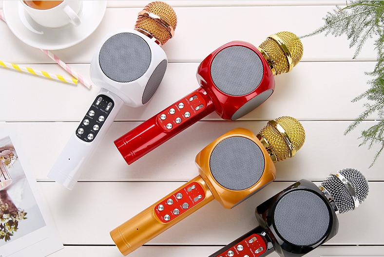Microphone karaoke kèm loa WS-1816