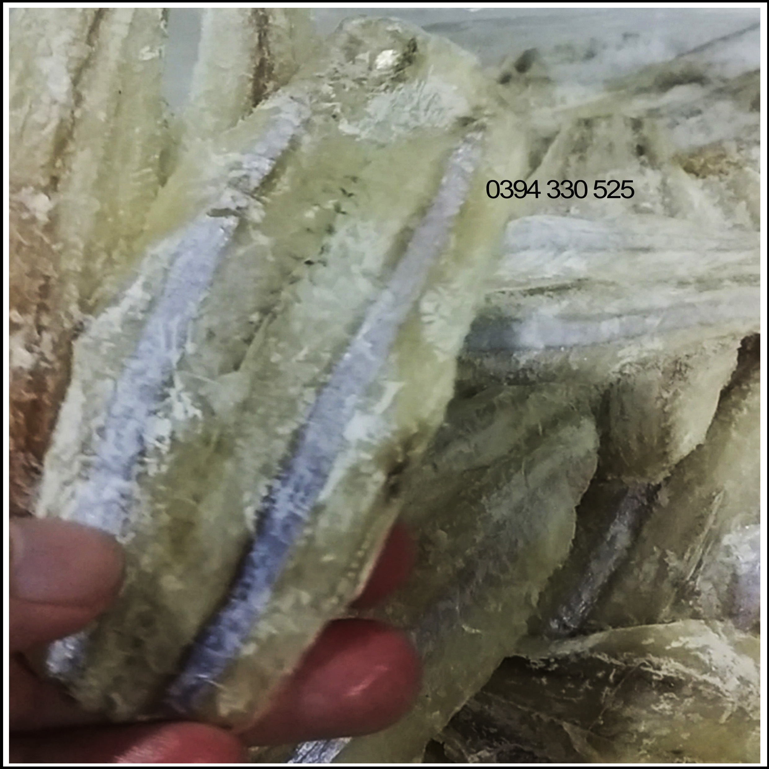Khô cá cơm Phan Thiết 500g