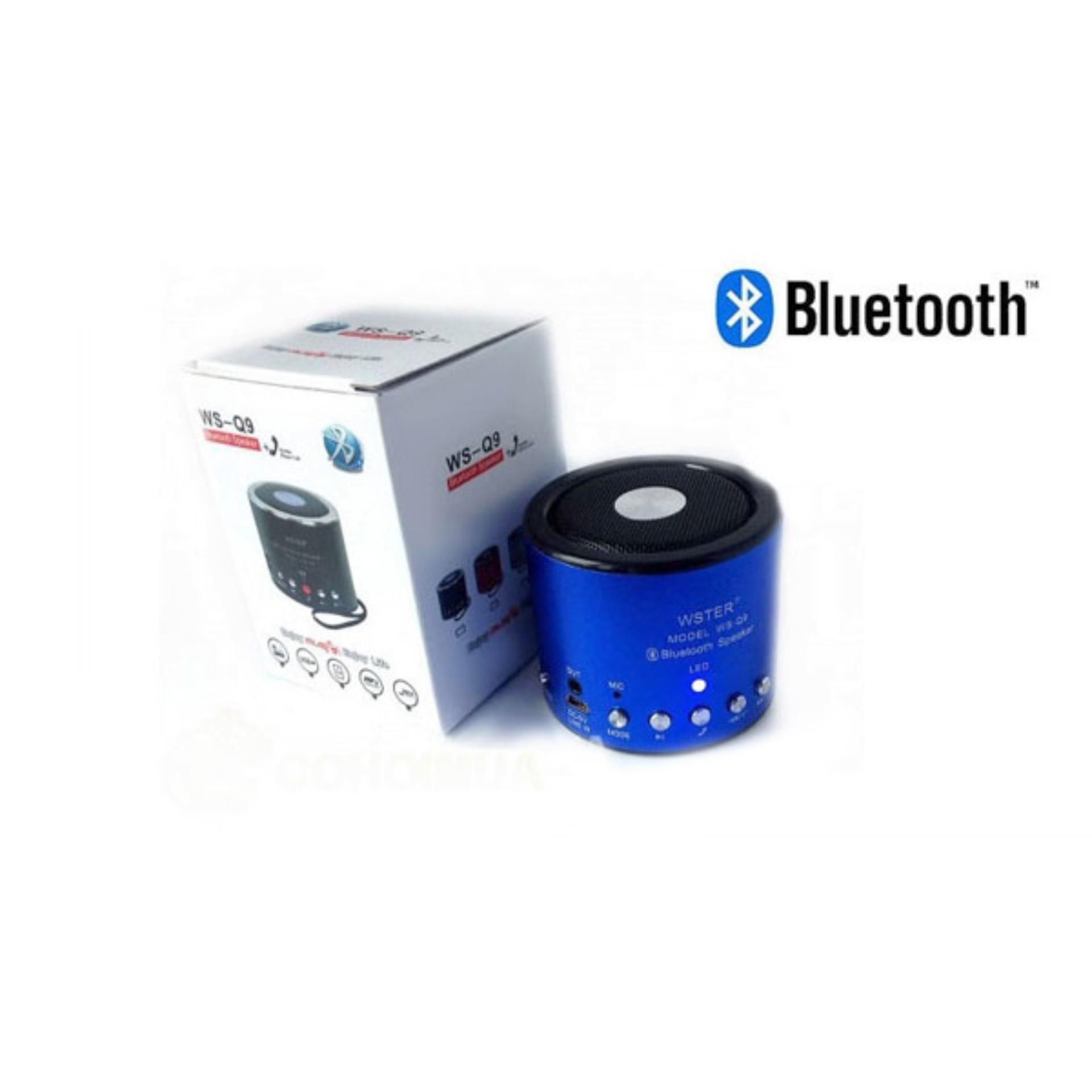 Loa Bluetooth Wster WS-Q9