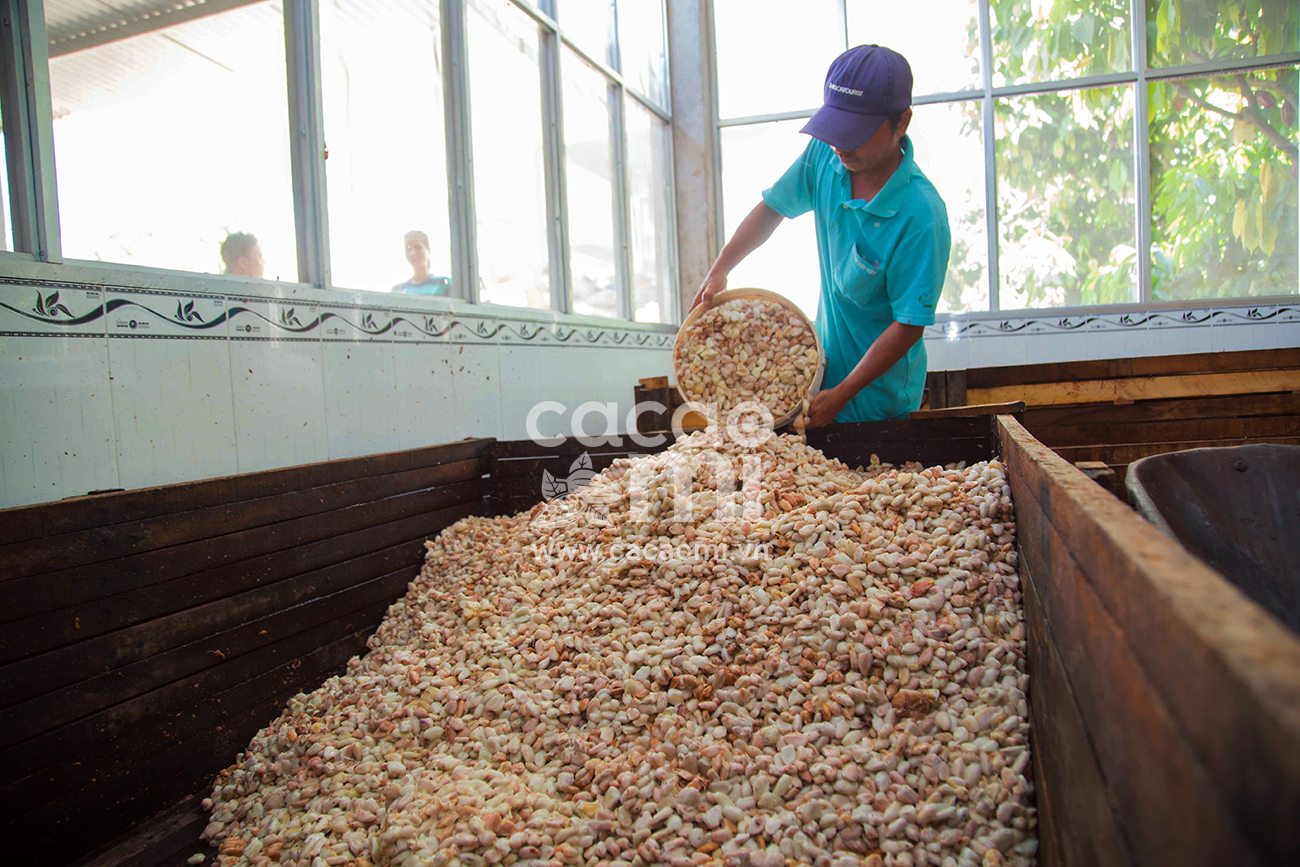 Bột cacao CacaoMi Premium 1kg