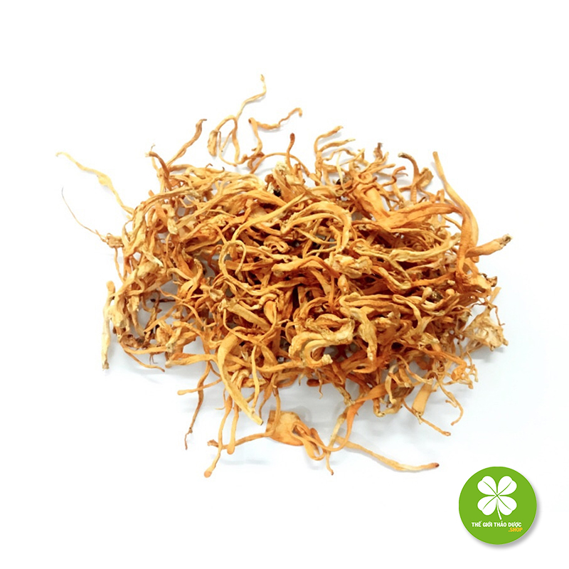 Aó thun tay dài nữ TD235