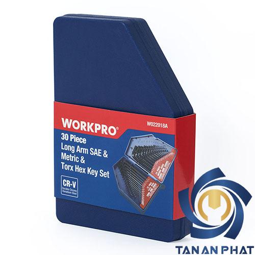 BỘ LỤC GIÁC 30 CHI TIẾT WORKPRO W022018
