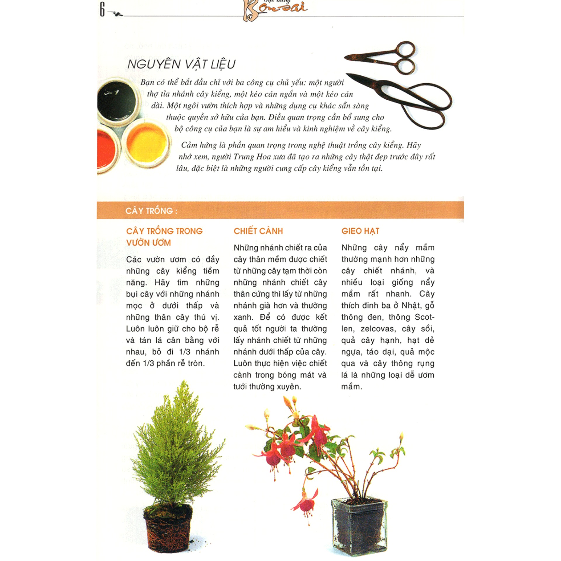 Tạo Dáng Bonsai
