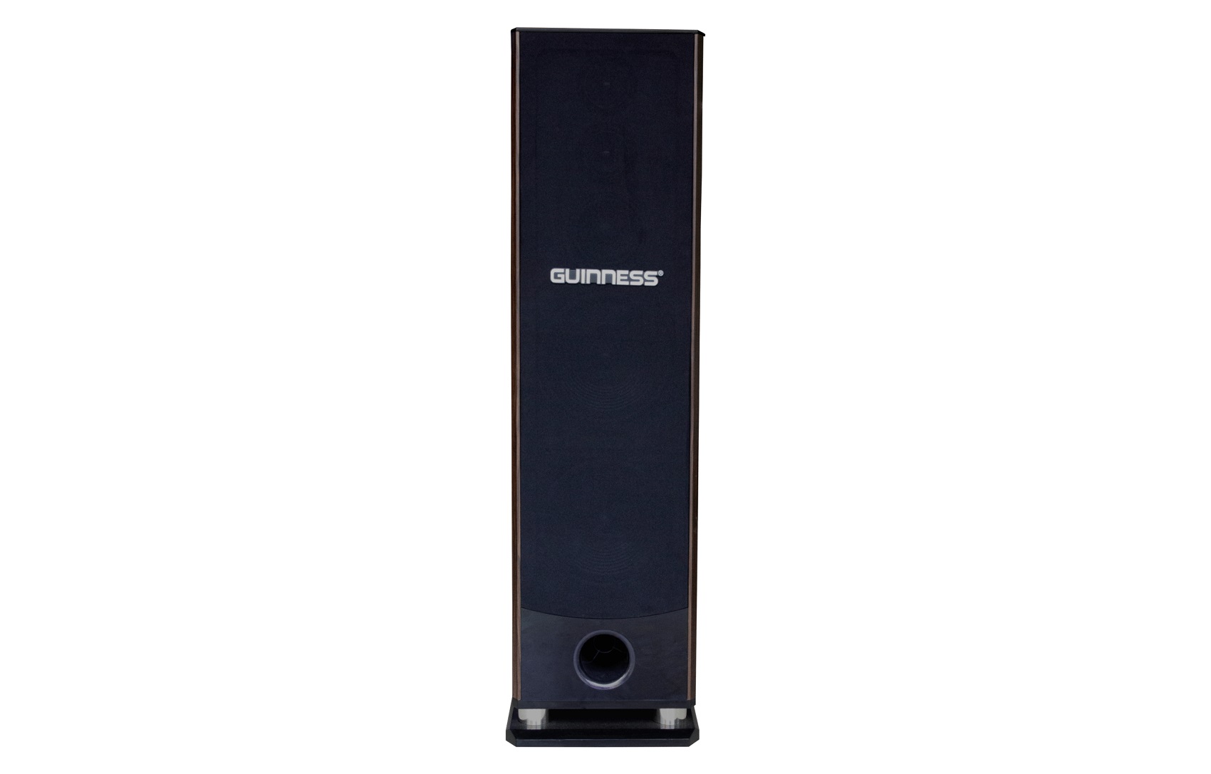 Loa Guinness SS-107