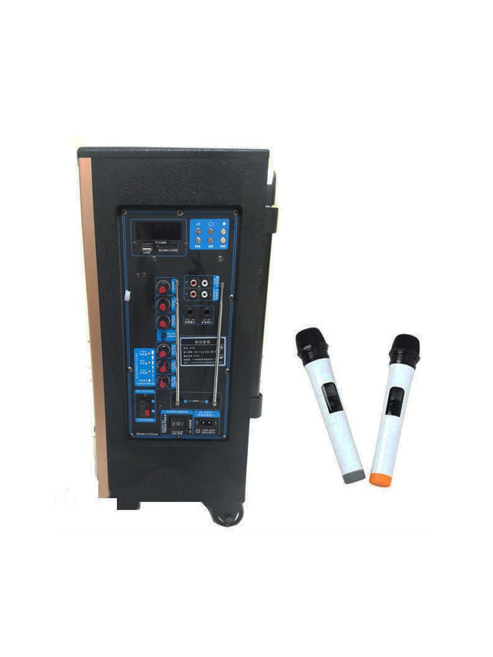 Loa Kéo Temeisheng Qx1202