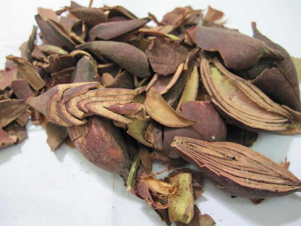 Sâm đại hành 1KG
