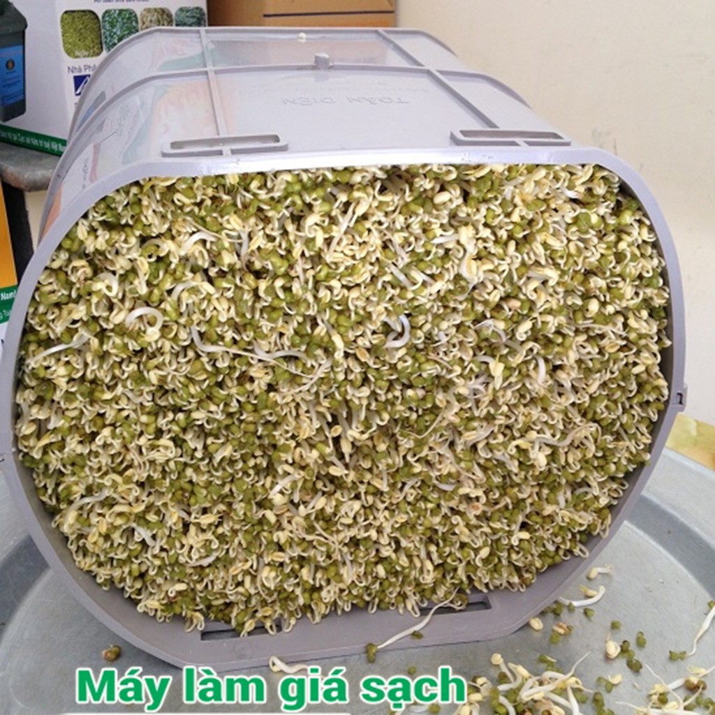 Máy trồng rau