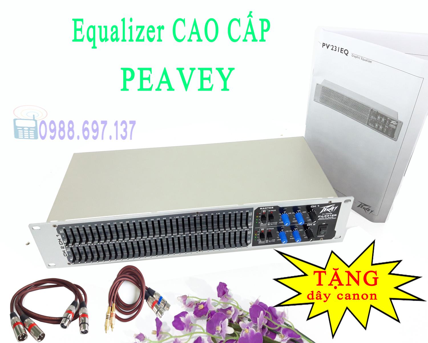 Bộ lọc tiếng Equalizer PEAVEY PV 231EQ