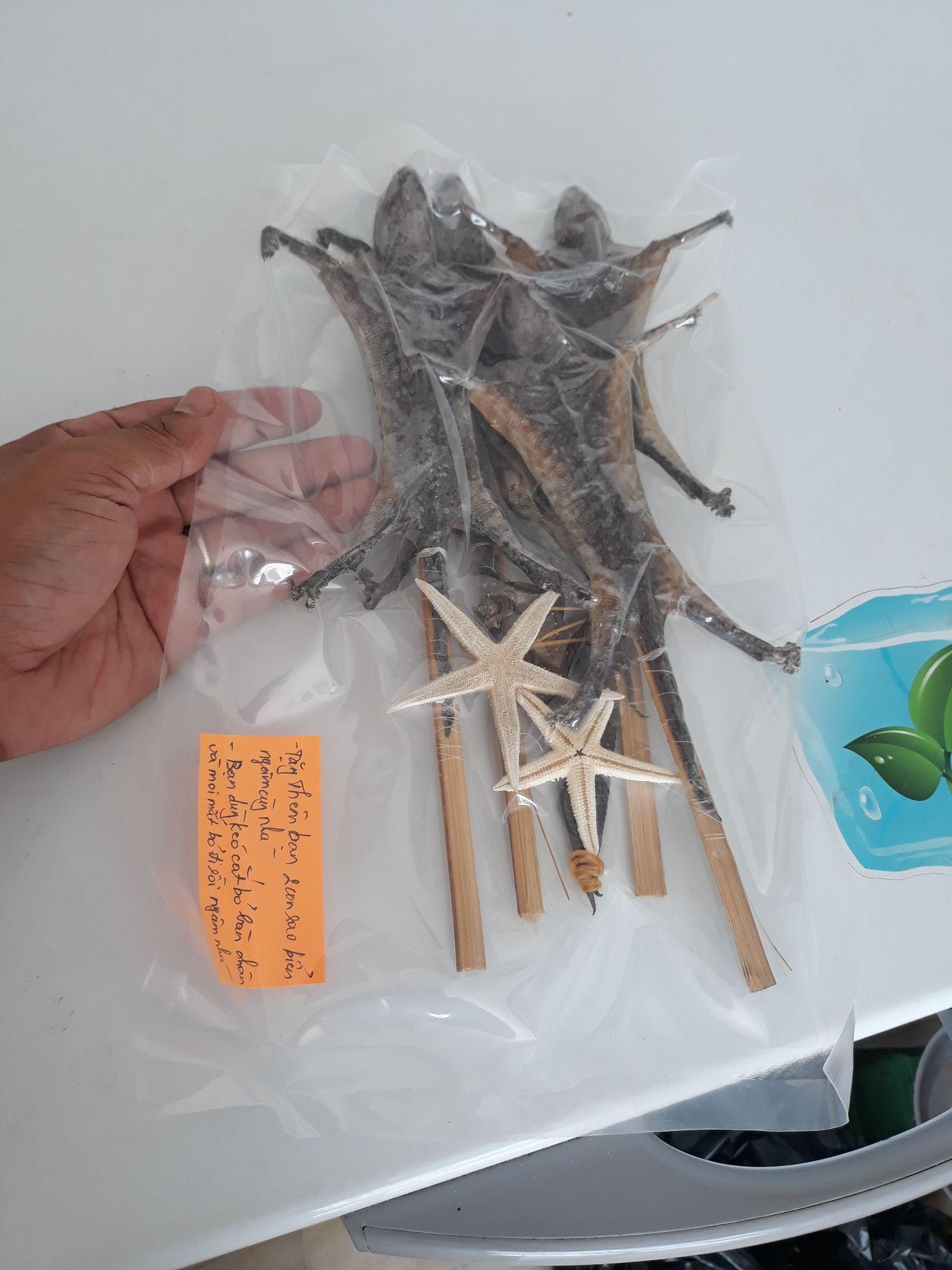 Tắc kè khô 4 con