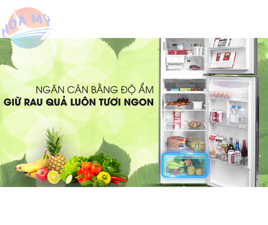 Tủ lạnh LG GN-L255PS/L255S
