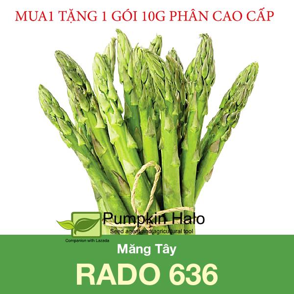 Hạt giống Măng tây xanh