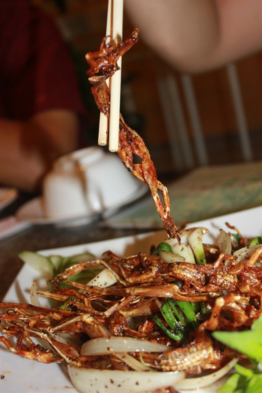 Khô Nhái (Vũ nữ chân dài)