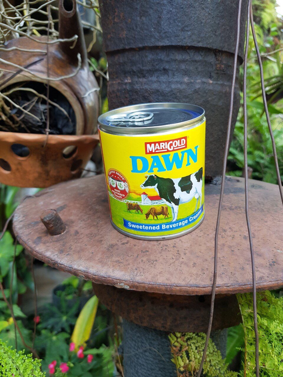 Sữa đặc Marigold Dawn 380g