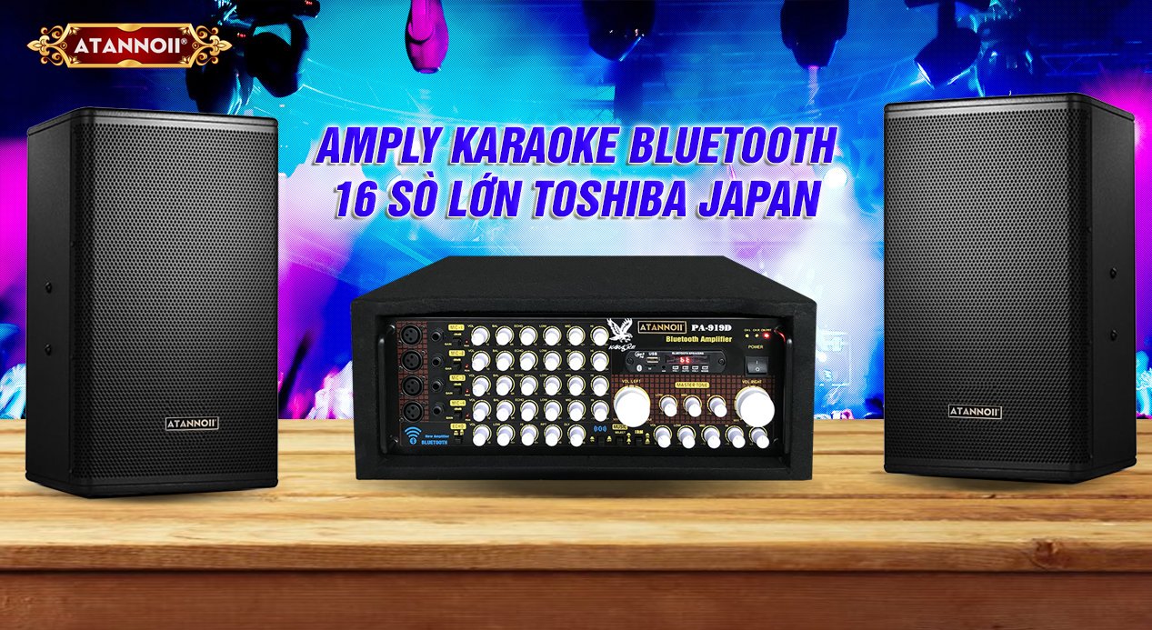 Ampli karaoke ATANNOII PA-919D