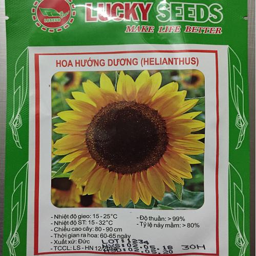 Hạt giống cây hoa hướng dương