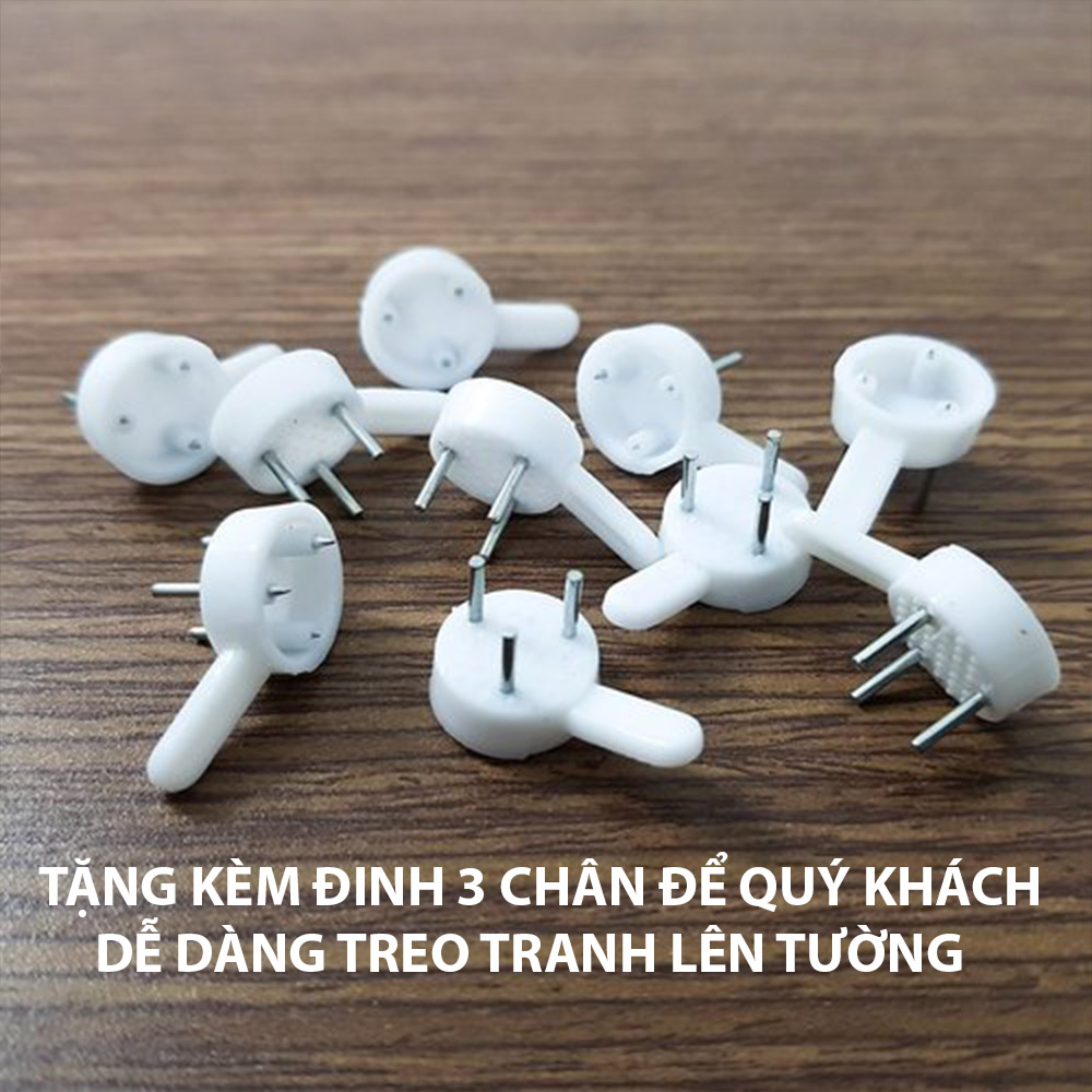 Bộ 3 Tranh Canvas Hoa Quả