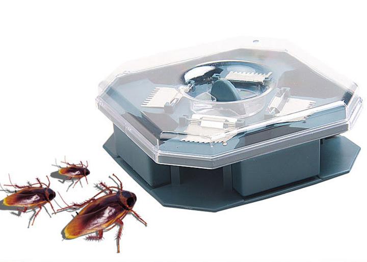 Dụng cụ bắt gián