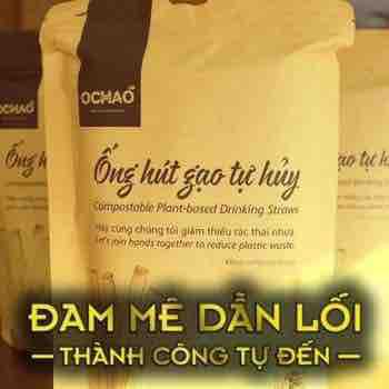 Ống hút bột gạo