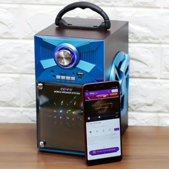 Loa Vision VSP CV-V10