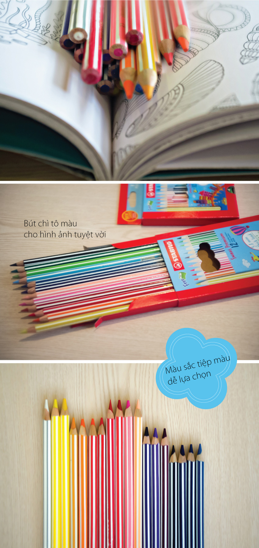 Bút Chì Màu MASTERART (36 Màu)