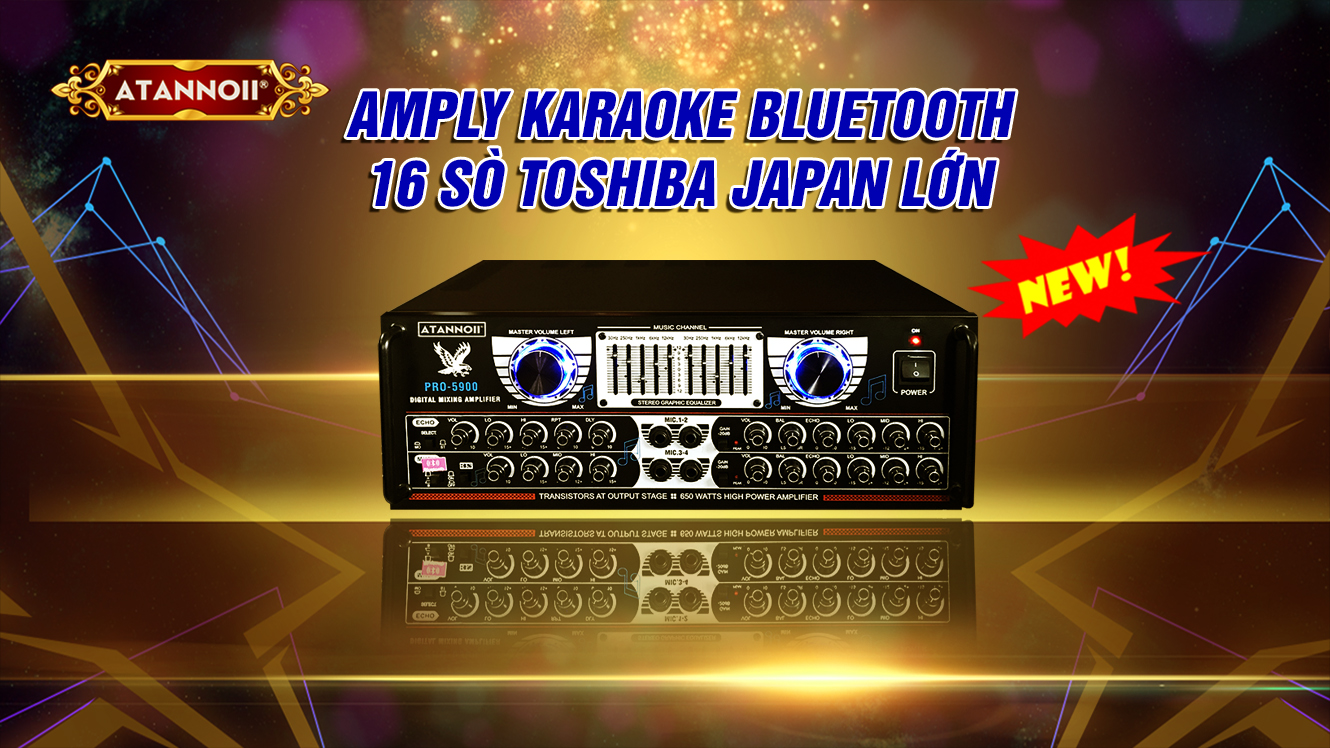 Amply ATANNOII PRO-5900