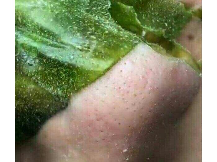 Mặt nạ lột mụn Green Tea Nose Pack
