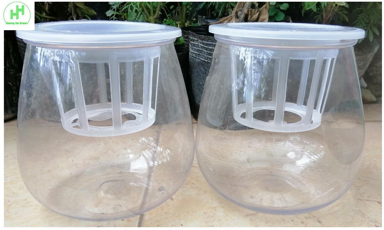 Chậu Nhựa Trồng Cây Thủy Sinh, Kích Thước 10x10x13Cm