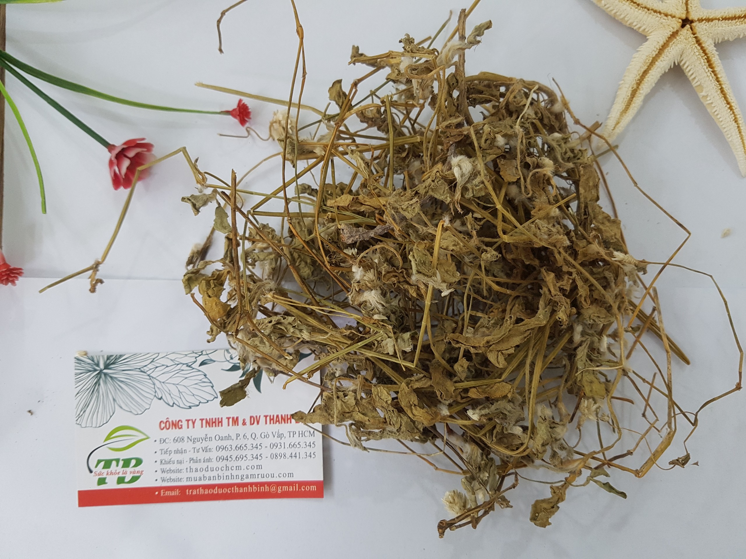 Cây nở ngày đất 1kg